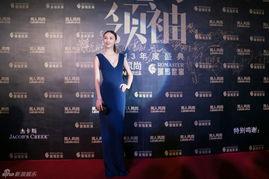 年度娱乐大典苏有朋,苏有朋闪耀星光，荣耀归来