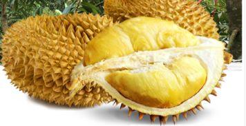 网红沈曼榴莲事件,网红直播带货引发的争议与反思