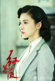 红蔷薇哪网播,网播热播，革命情怀点燃青春热血